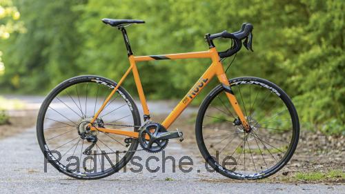 Rose Pro Cross  technische daten 
